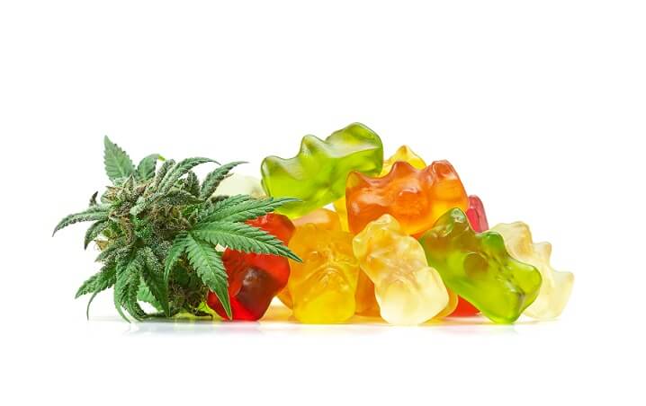 cannabis marijuana edible gummy bears